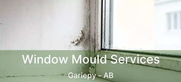  Window Mould Services Gariepy - AB