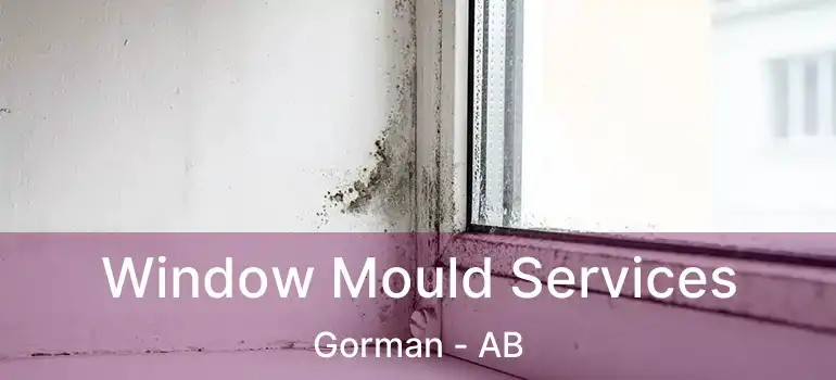  Window Mould Services Gorman - AB