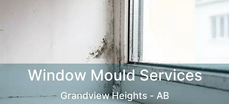  Window Mould Services Grandview Heights - AB