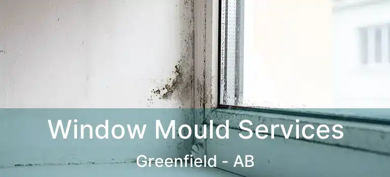  Window Mould Services Greenfield - AB