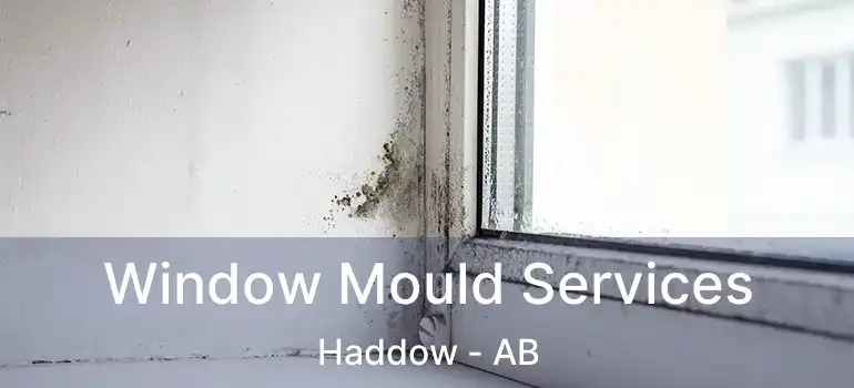  Window Mould Services Haddow - AB