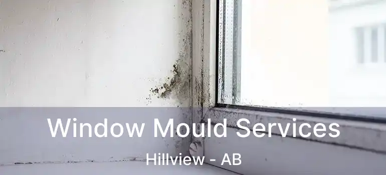  Window Mould Services Hillview - AB