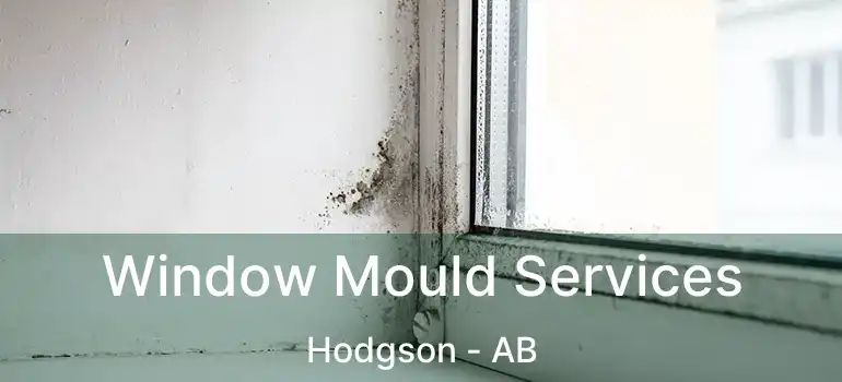  Window Mould Services Hodgson - AB