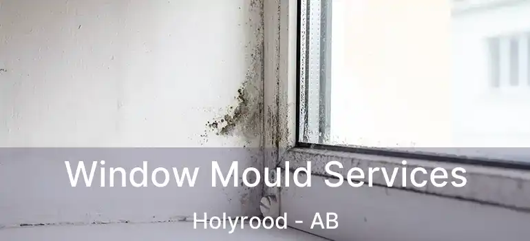  Window Mould Services Holyrood - AB