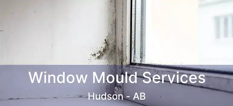  Window Mould Services Hudson - AB