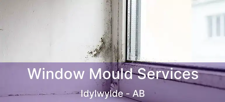  Window Mould Services Idylwylde - AB