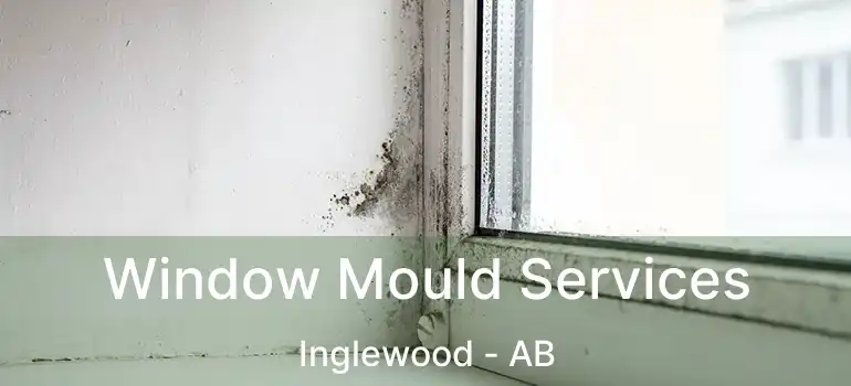  Window Mould Services Inglewood - AB