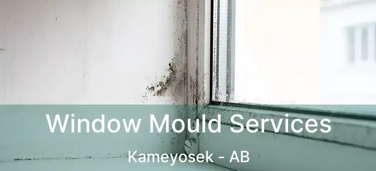  Window Mould Services Kameyosek - AB