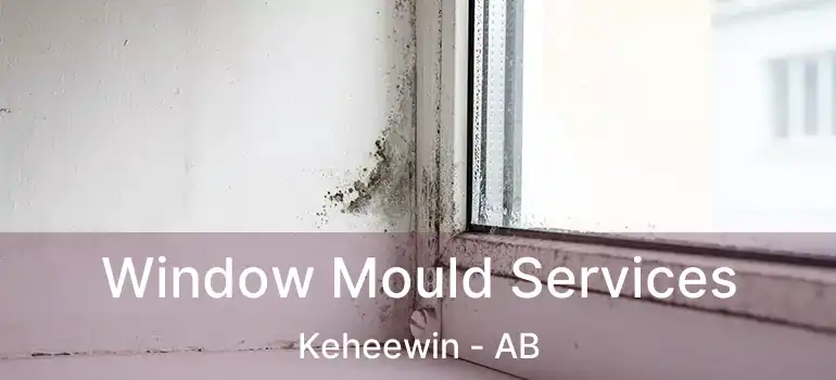  Window Mould Services Keheewin - AB