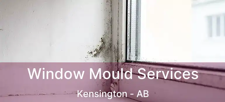  Window Mould Services Kensington - AB