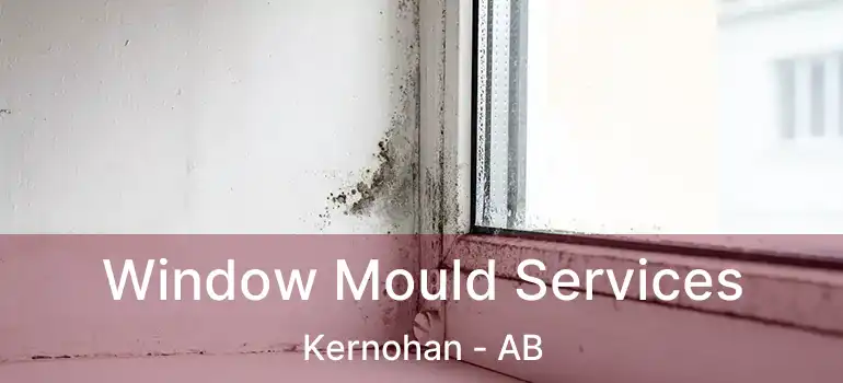  Window Mould Services Kernohan - AB