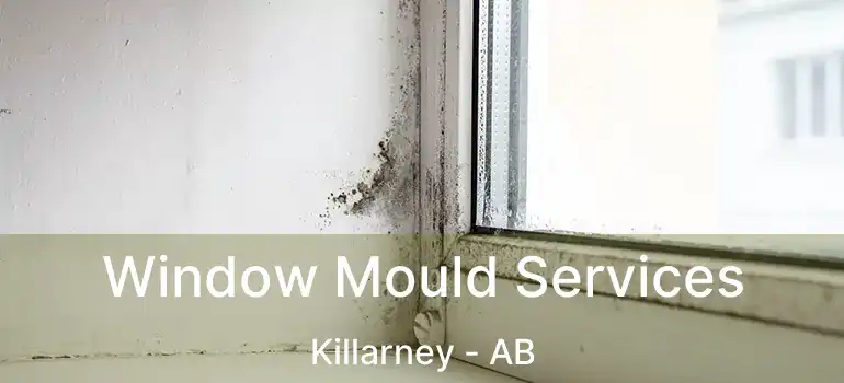  Window Mould Services Killarney - AB