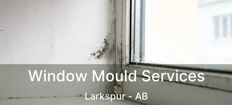  Window Mould Services Larkspur - AB