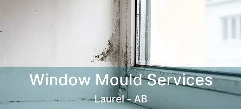  Window Mould Services Laurel - AB