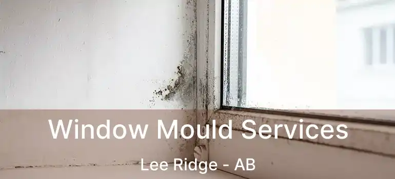  Window Mould Services Lee Ridge - AB