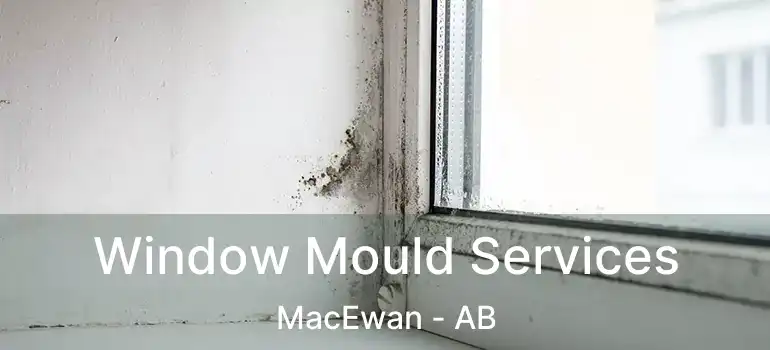  Window Mould Services MacEwan - AB