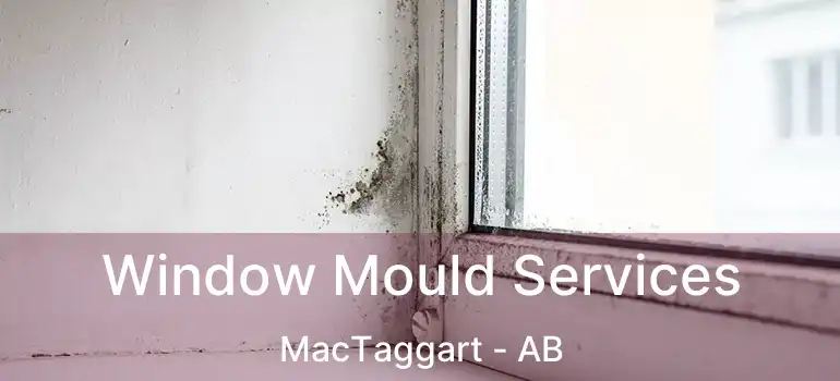  Window Mould Services MacTaggart - AB