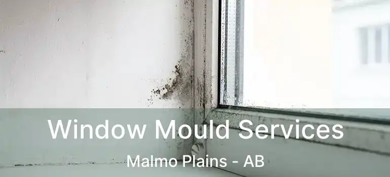  Window Mould Services Malmo Plains - AB