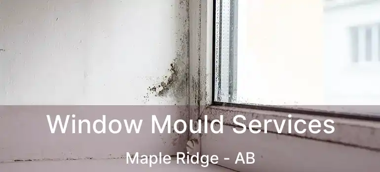  Window Mould Services Maple Ridge - AB