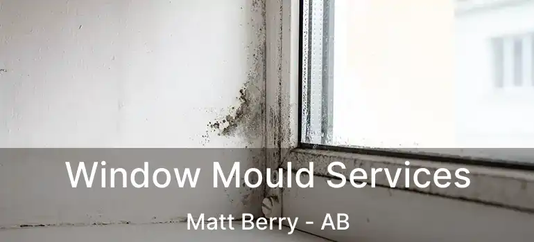  Window Mould Services Matt Berry - AB