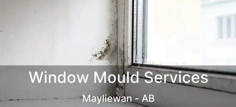  Window Mould Services Mayliewan - AB