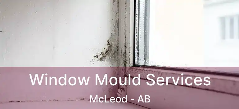  Window Mould Services McLeod - AB