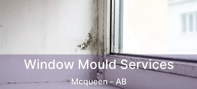  Window Mould Services Mcqueen - AB