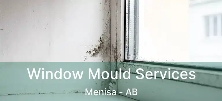  Window Mould Services Menisa - AB