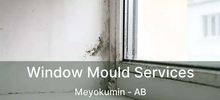  Window Mould Services Meyokumin - AB