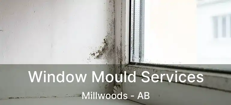  Window Mould Services Millwoods - AB