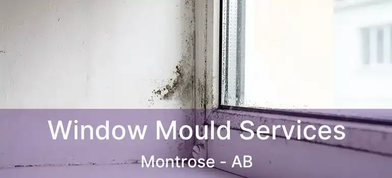  Window Mould Services Montrose - AB