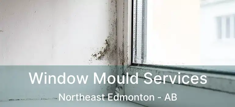  Window Mould Services Northeast Edmonton - AB