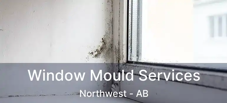  Window Mould Services Northwest - AB