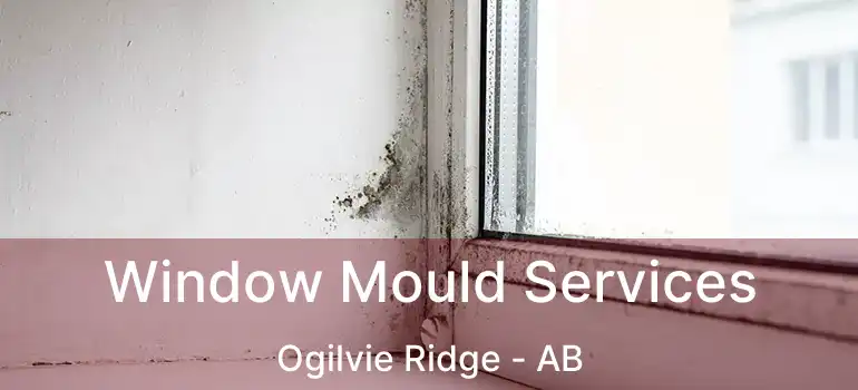  Window Mould Services Ogilvie Ridge - AB