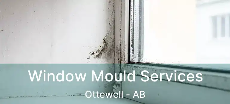  Window Mould Services Ottewell - AB