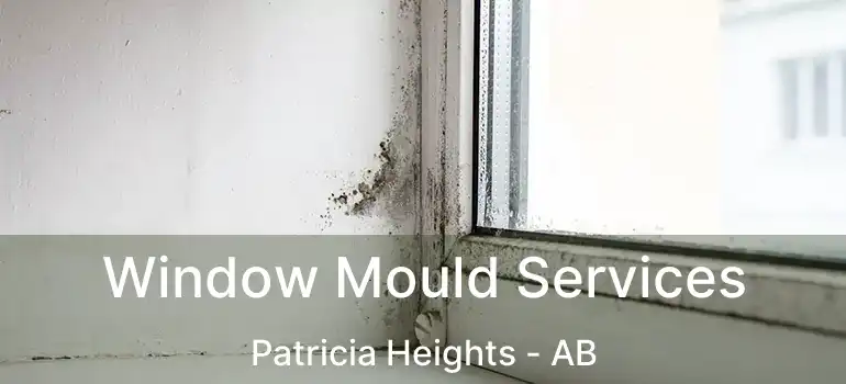  Window Mould Services Patricia Heights - AB