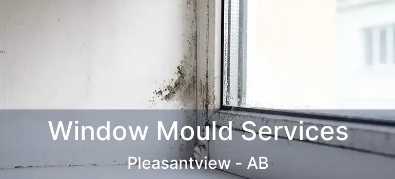  Window Mould Services Pleasantview - AB