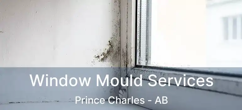  Window Mould Services Prince Charles - AB