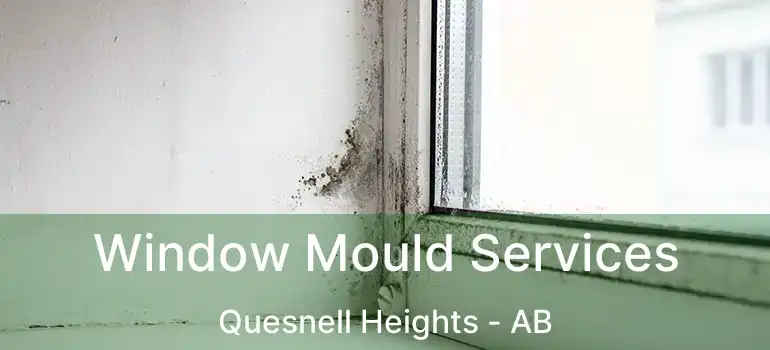  Window Mould Services Quesnell Heights - AB