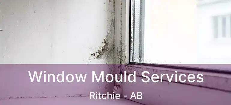  Window Mould Services Ritchie - AB