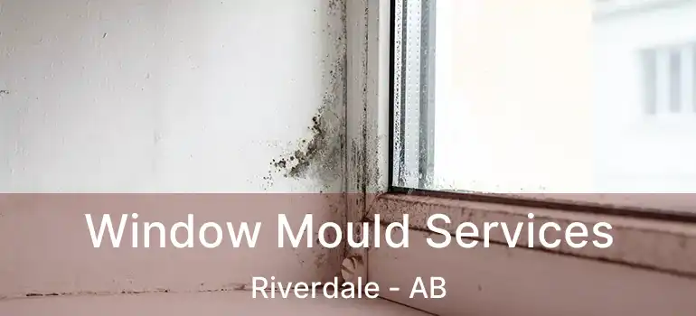  Window Mould Services Riverdale - AB
