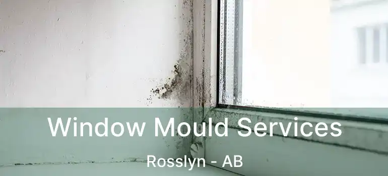  Window Mould Services Rosslyn - AB