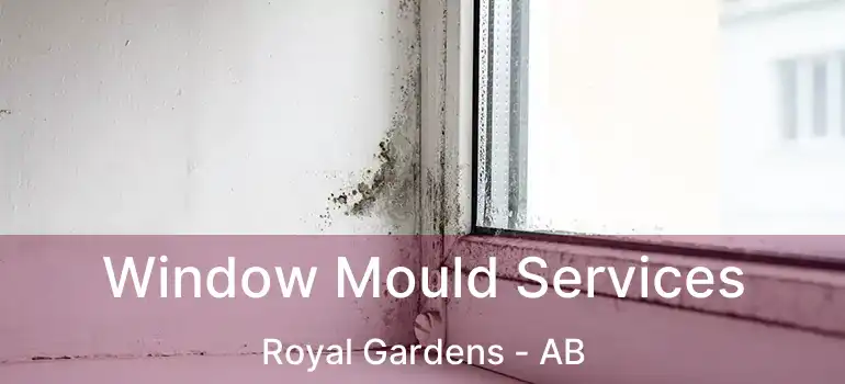  Window Mould Services Royal Gardens - AB