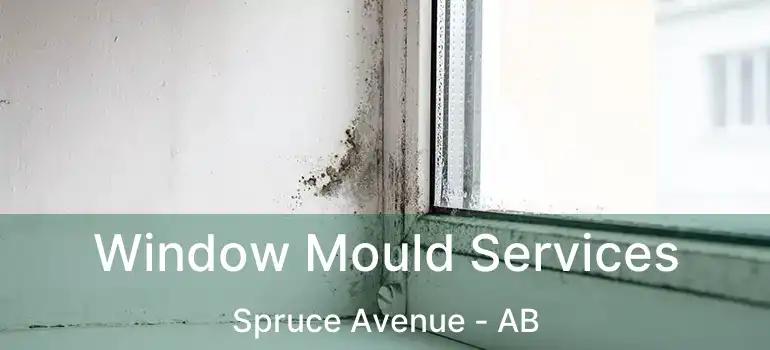  Window Mould Services Spruce Avenue - AB