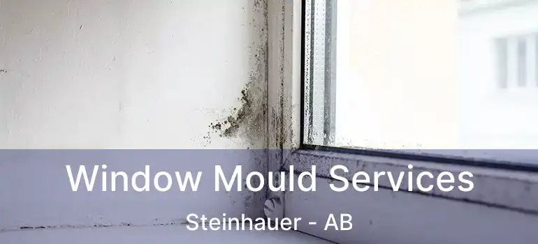  Window Mould Services Steinhauer - AB