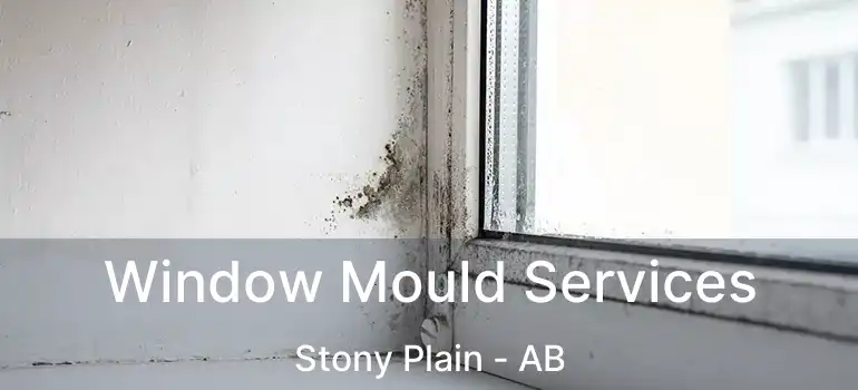  Window Mould Services Stony Plain - AB