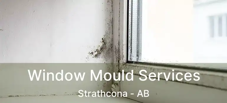  Window Mould Services Strathcona - AB