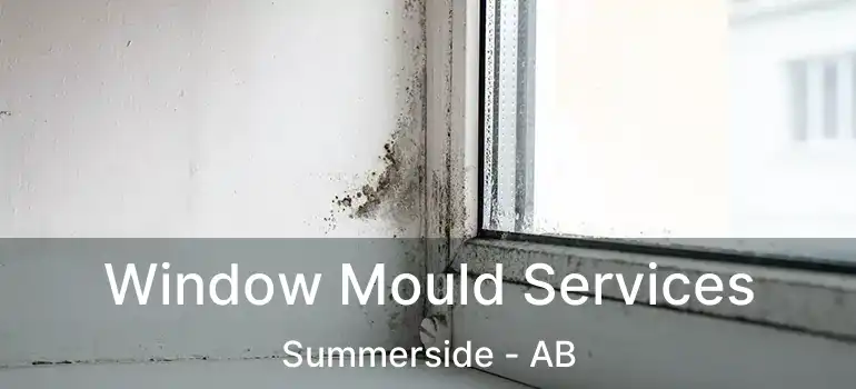  Window Mould Services Summerside - AB