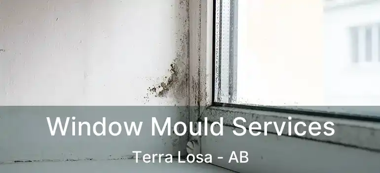  Window Mould Services Terra Losa - AB