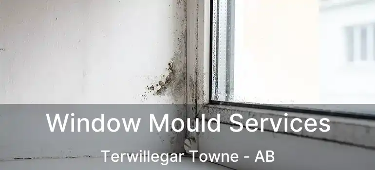  Window Mould Services Terwillegar Towne - AB